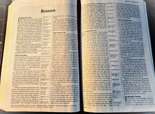 Gifted Bible #001 - New Living Translation (NLT)